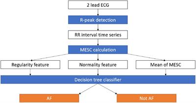 Visualizing and Quantifying Irregular Heart Rate Irregularities to Identify Atrial Fibrillation Events